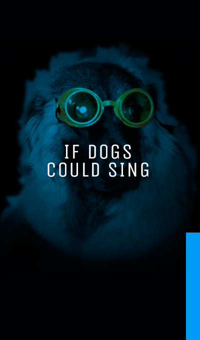 If Dogs Could Sing